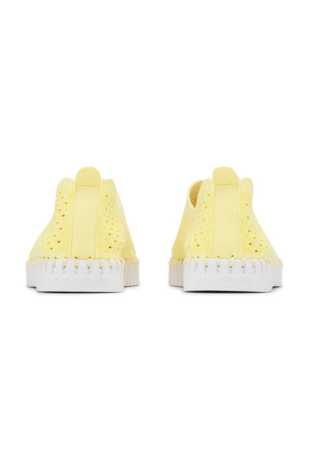 | Lemon Drop