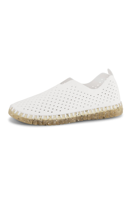 Speckle Sole Tulip by Ilse Jacobsen