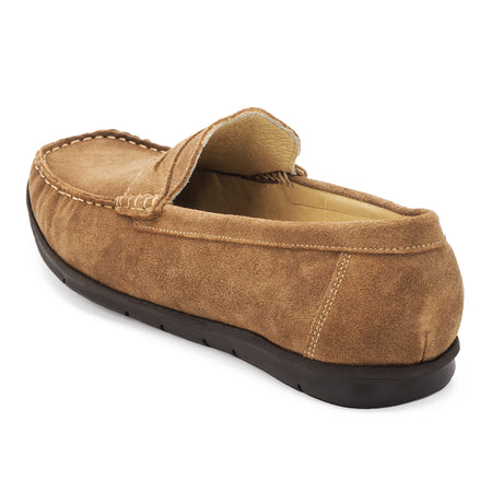| Camel