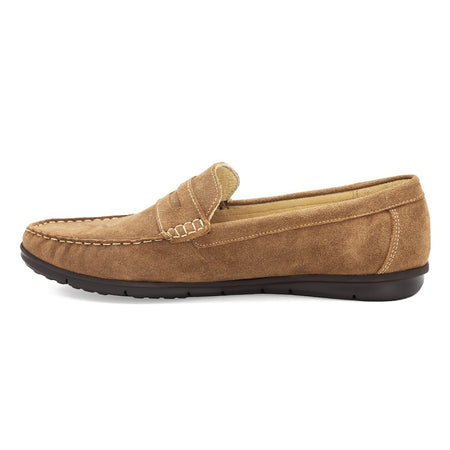 | Camel