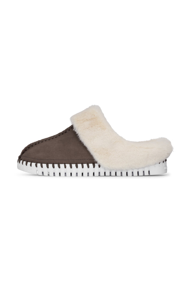| Chestnut
